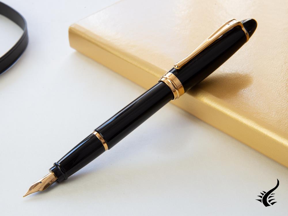 Aurora Ipsilon Fountain Pen - Black Resin Body - B11N