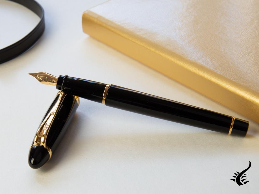 Aurora Ipsilon Fountain Pen - Black Resin Body - B11N