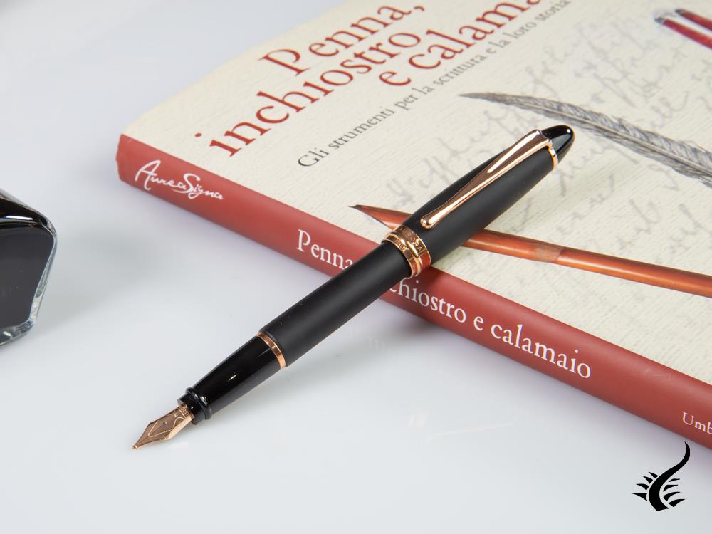 Stylo plume Aurora Ipsilon Satin, résine, attributs or rose, B10-PN