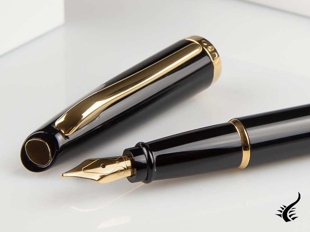 Aurora Style Fountain Pen - Black and Gold-Plated - E12DN