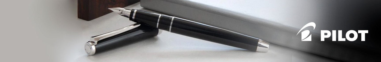 Pilot Falcon