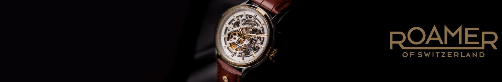 Roamer Competence Skeleton