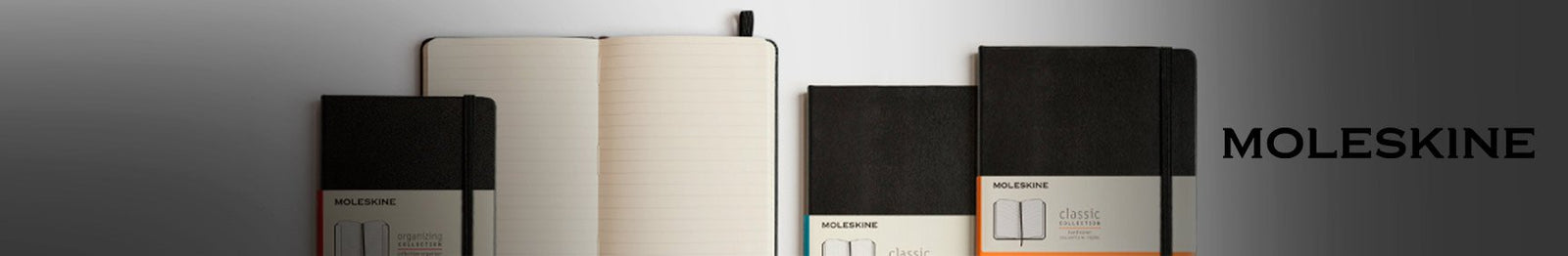 Moleskine