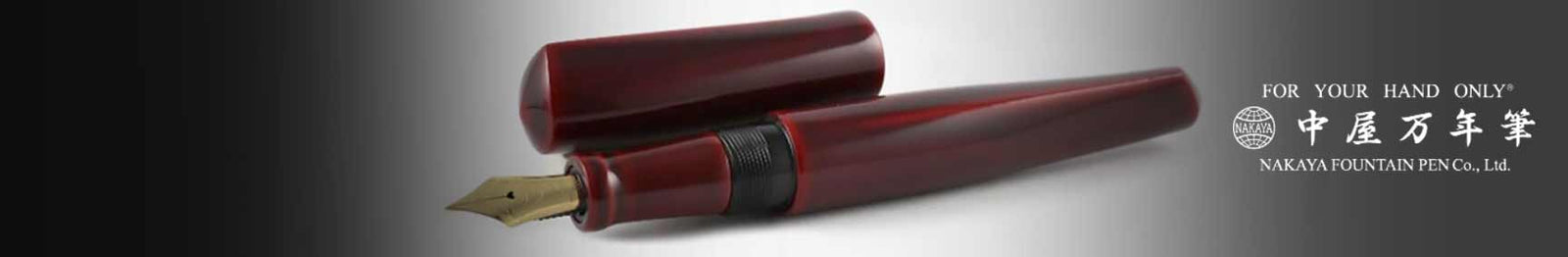 Nakaya Dorsal Fin Ver.1