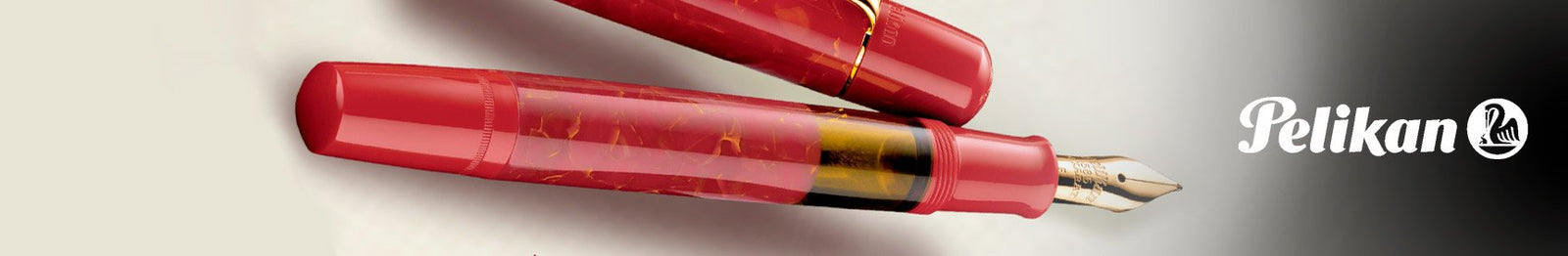 Pelikan 101N