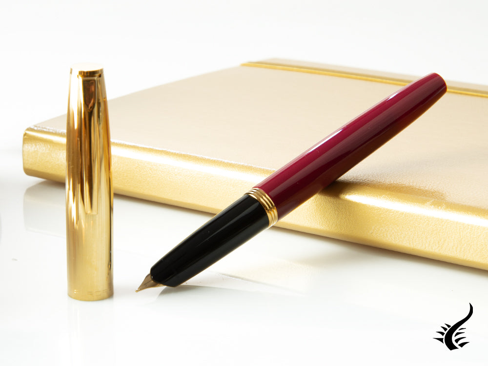 Aurora Duo-Cart Fountain Pen, Resin, Gold Trim, DC57-DXM