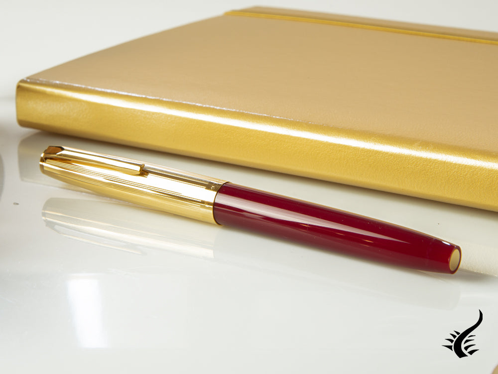 Aurora Duo-Cart Fountain Pen, Resin, Gold Trim, DC57-DXM