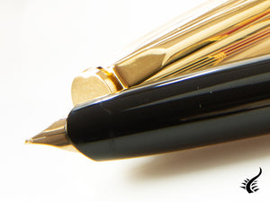 Aurora Duo-Cart Fountain Pen, Resin, Gold Trim, DC57-DXM