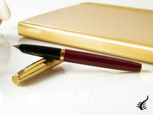 Aurora Duo-Cart Fountain Pen, Resin, Gold Trim, DC57-DXM