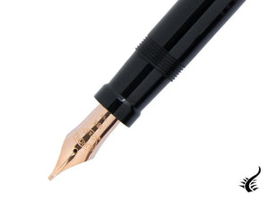 Stylo plume Aurora Internazionale édition limitée, noir, 19A-N