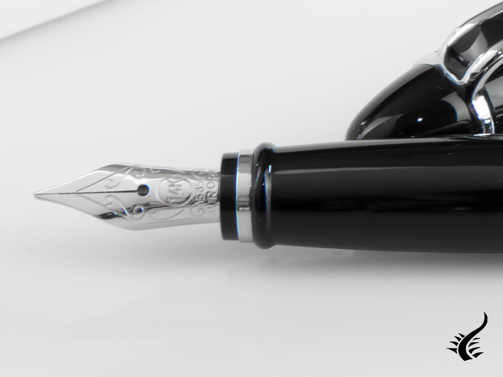 Aurora Ipsilon De Luxe Fountain Pen Black Resin B12C