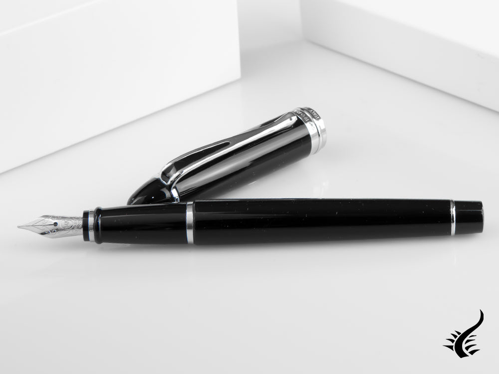 Aurora Ipsilon De Luxe Fountain Pen Black Resin B12C