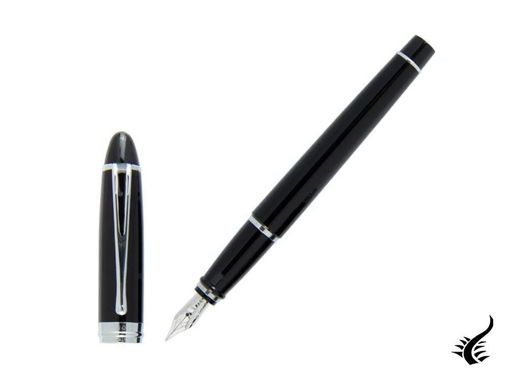 Aurora Ipsilon De Luxe Fountain Pen Black Resin B12C