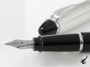 Aurora Ipsilon Fountain Pen - 925 Silver & Resin -B14CN