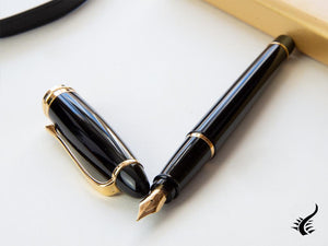 Aurora Ipsilon Fountain Pen - Black Resin Body  - B11N