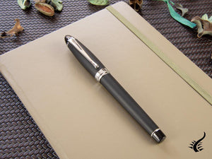 Aurora Ipsilon Fountain Pen, Black Resin, Chrome trim, B10N