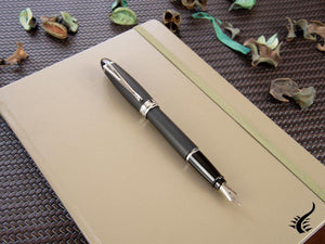 Aurora Ipsilon Fountain Pen, Black Resin, Chrome trim, B10N