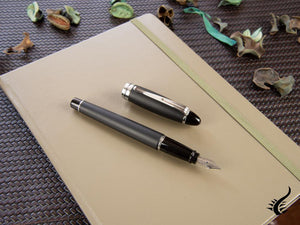 Aurora Ipsilon Fountain Pen, Black Resin, Chrome trim, B10N