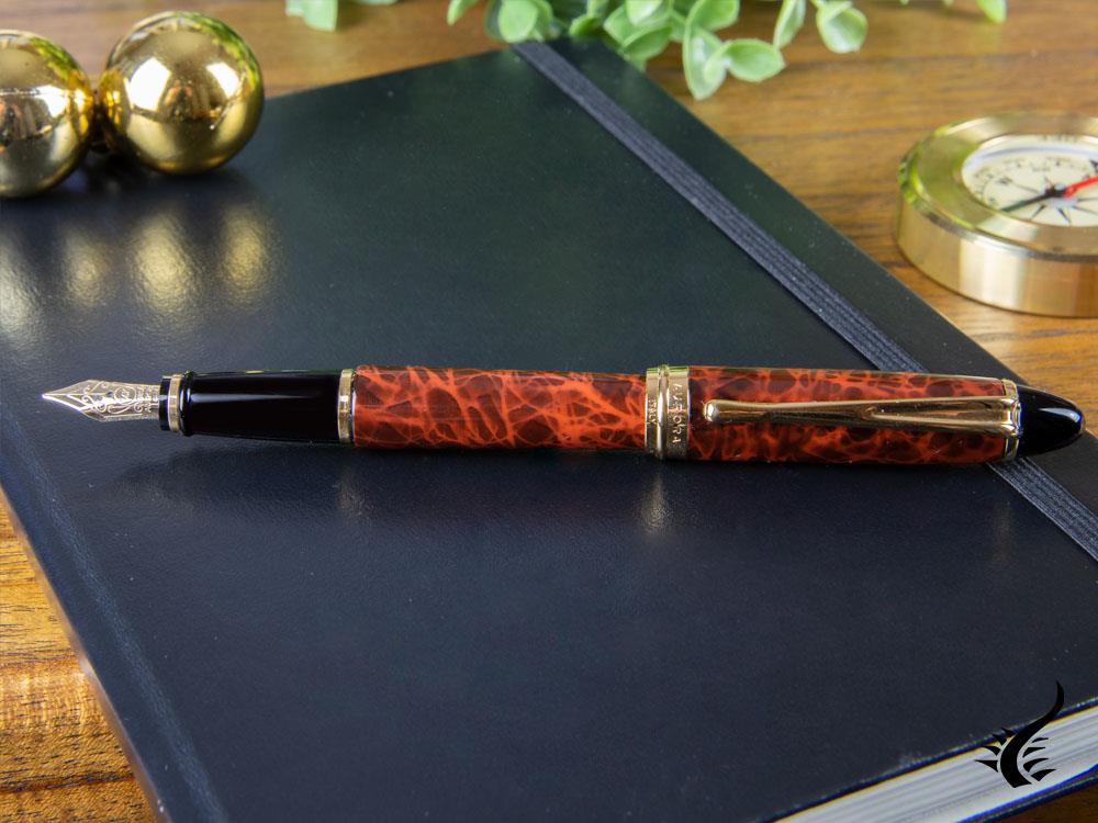 Aurora Ipsilon Fountain Pen, Brown marbled tortoise, Gold trim, B13T