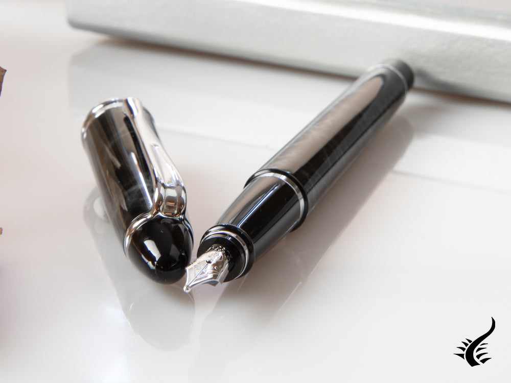 Aurora Ipsilon Fountain Pen, Grey resin, Chrome trim, b13CG