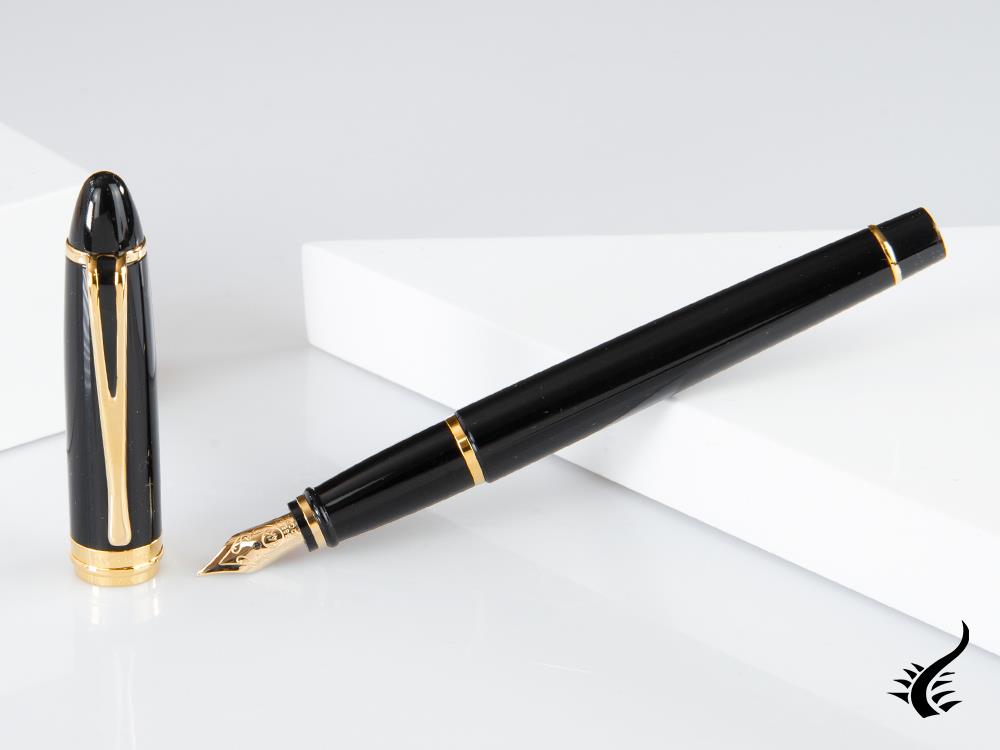 Aurora Ipsilon Fountain Pen, Resin, Black, B12N