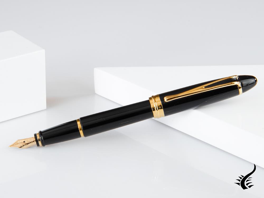 Aurora Ipsilon Fountain Pen, Resin, Black, B12N