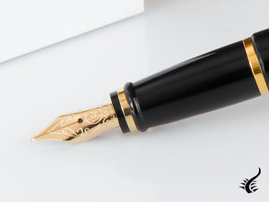 Aurora Ipsilon Fountain Pen, Resin, Black, B12N