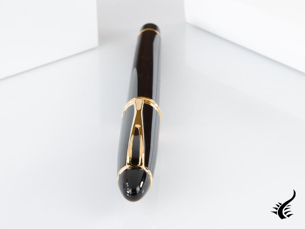 Aurora Ipsilon Fountain Pen, Resin, Black, B12N