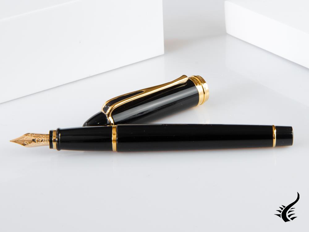 Aurora Ipsilon Fountain Pen, Resin, Black, B12N