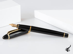 Aurora Ipsilon Fountain Pen, Resin, Black, B12N