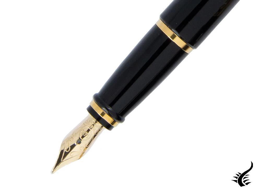 Aurora Ipsilon Fountain Pen, Resin, Black, B12N