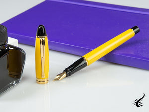 Aurora Ipsilon Fountain Pen, Resin, Gold trim, b11y