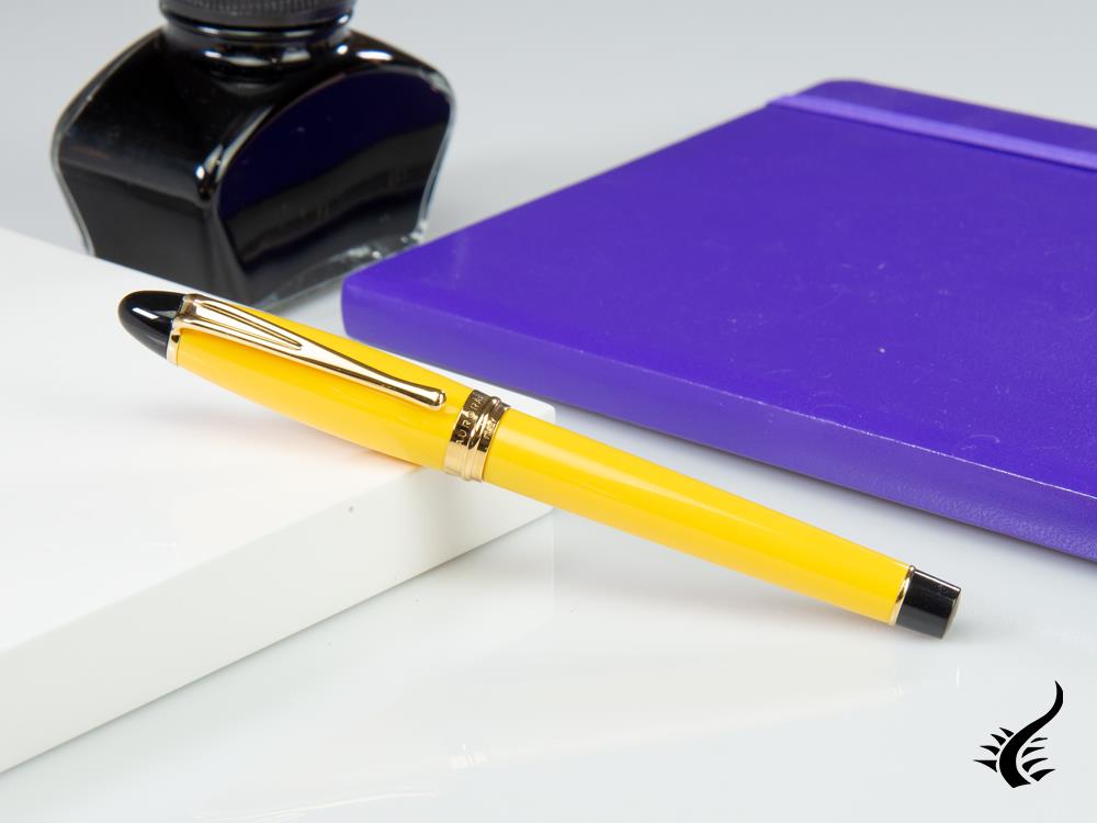 Aurora Ipsilon Fountain Pen, Resin, Gold trim, b11y