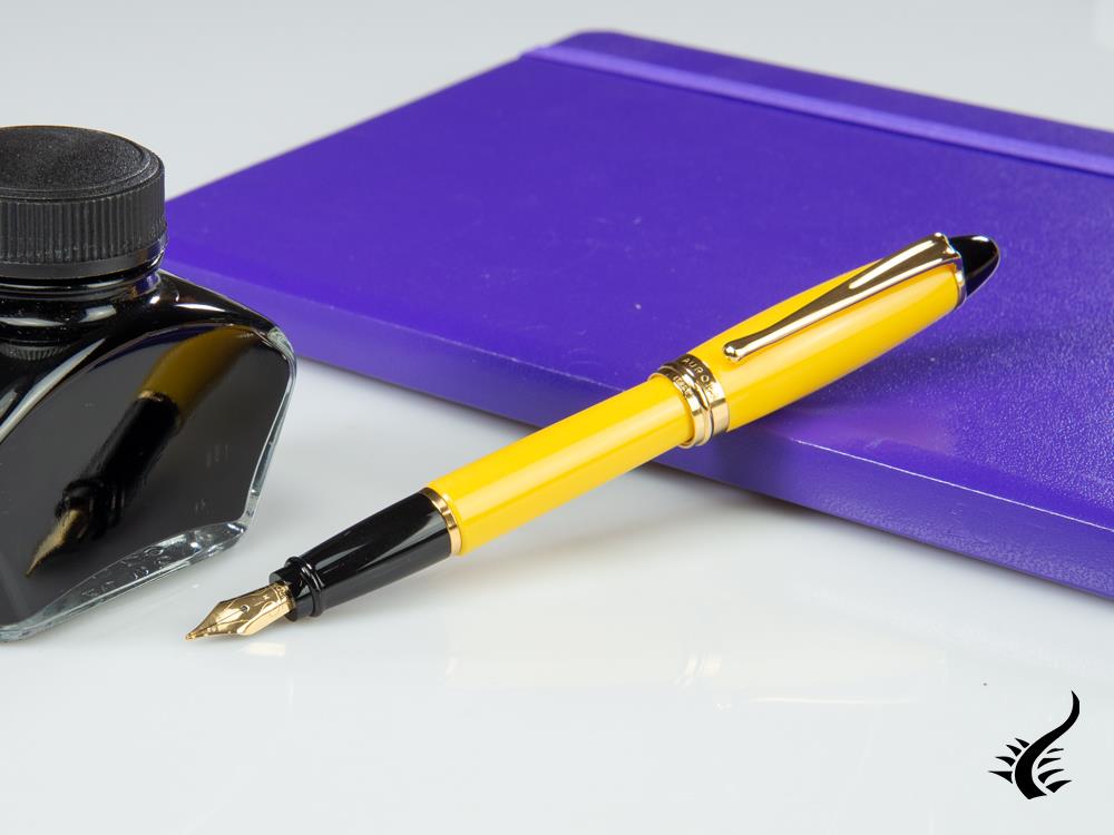 Aurora Ipsilon Fountain Pen, Resin, Gold trim, b11y