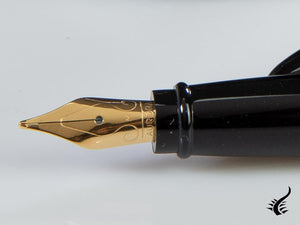 Aurora Ipsilon Fountain Pen, Resin, Gold trim, b11y