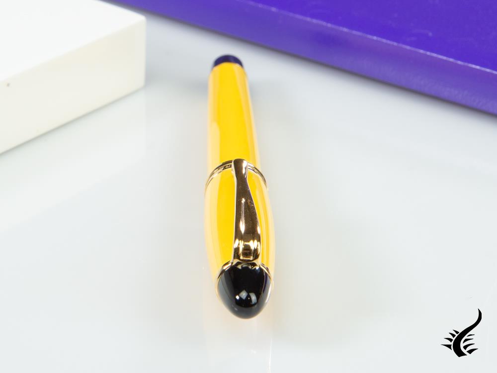 Aurora Ipsilon Fountain Pen, Resin, Gold trim, b11y