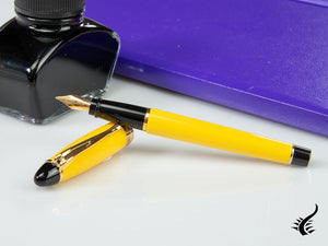 Aurora Ipsilon Fountain Pen, Resin, Gold trim, b11y