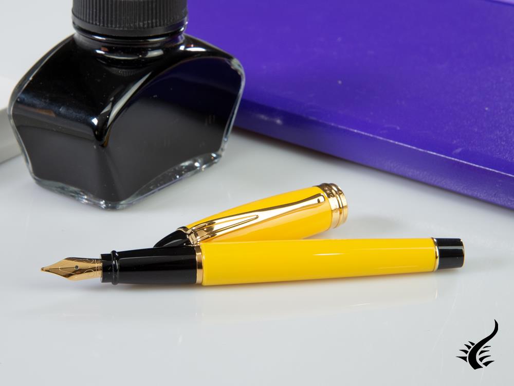 Aurora Ipsilon Fountain Pen, Resin, Gold trim, b11y