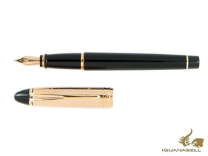 Aurora Ipsilon Fountain Pen, Resin, Rose gold trim, B11PQN