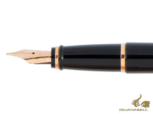 Aurora Ipsilon Fountain Pen, Resin, Rose gold trim, B11PQN