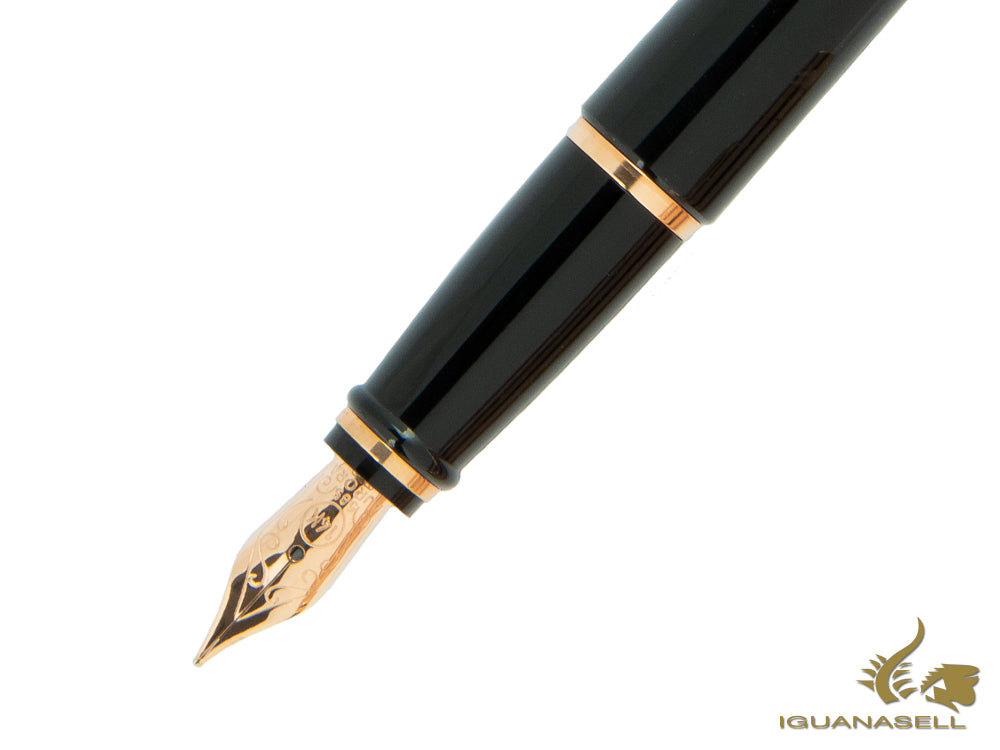 Aurora Ipsilon Fountain Pen, Resin, Rose gold trim, B11PQN