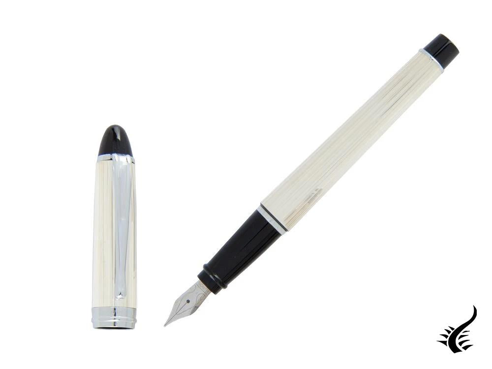 Aurora Ipsilon Fountain Pen, Silver, Silver, B14