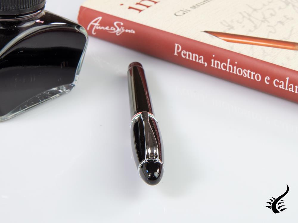 Aurora Ipsilon Italia Fountain Pen, Resin, Black, Silver, B17-N