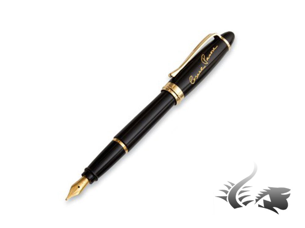 Aurora Ipsilon Pavese Fountain Pen, Resin, Black, Gold Trim, B11-NP