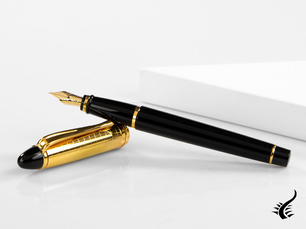 Aurora Ipsilon Quadra Gold Fountain Pen, Resin, Black, Gold, B11-DQN