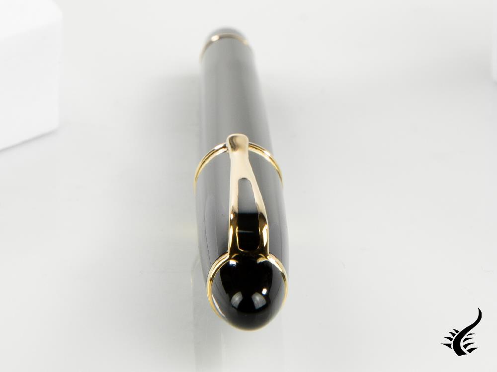 Aurora Ipsilon Rollerball pen, Resin, Gold trim, Black, B72-N