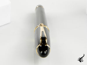 Aurora Ipsilon Rollerball pen, Resin, Gold trim, Black, B72-N