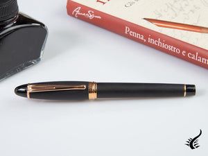 Aurora Ipsilon Satin Fountain Pen, Resin, Rose Gold Trim, B10-PN