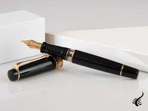 Aurora Optima Fountain Pen, Resin, Black, Gold plated, 997N