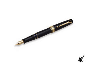 Stylo plume Aurora Optima, résine, noir, plaqué or, 997N